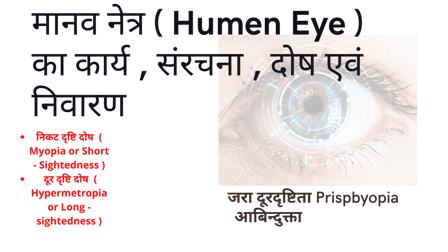 मानव नेत्र ( Humen Eye ) का कार्य , संरचना , दोष एवं निवारण