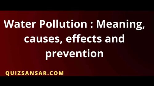 water pollution causes effects