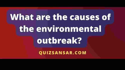 What are the causes of the environmental outbreak? 