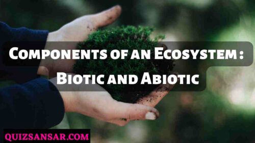 Components of an Ecosystem : Biotic and Abiotic