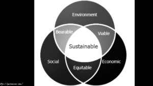 Relationships in sustainable development - environmental, social and economic concerns.