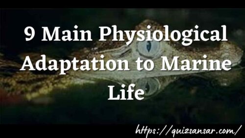 9 Main Physiological Adaptation to Marine Life