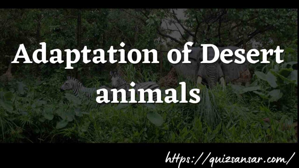 Adaptation of Desert animals