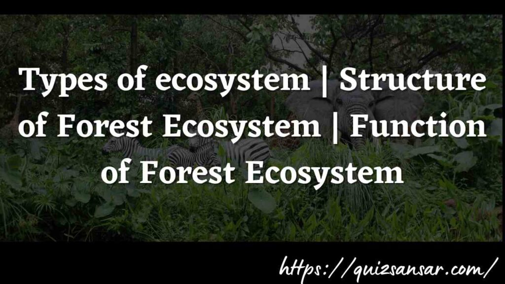 Types of ecosystem | Structure of Forest Ecosystem | Function of Forest Ecosystem